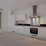 Rent 3 bedroom apartment of 68 m² in Den Haag