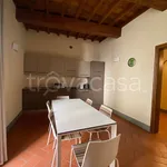 Rent 4 bedroom apartment of 120 m² in Firenze