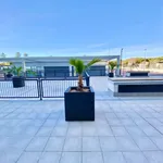 Alquilo 4 dormitorio apartamento de 152 m² en Alicante