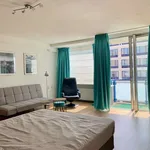 Huur 1 slaapkamer appartement van 40 m² in Den Haag