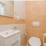 Rent 1 bedroom apartment of 40 m² in prague