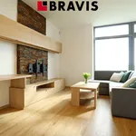 Rent 2 bedroom apartment in Brno