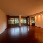 Rent 5 bedroom apartment of 220 m² in Torino