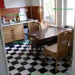 Rent 1 bedroom apartment of 12 m² in Den Bosch