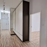 Rent 3 bedroom apartment of 100 m² in Prague