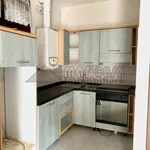 Rent 1 bedroom apartment of 50 m² in ferrara