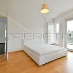 Rent 2 bedroom apartment of 130 m² in Zagreb