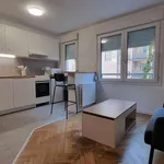 Appartement de 32 m² avec 2 chambre(s) en location à Lyon