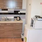 Rent 1 bedroom apartment of 17 m² in Prague