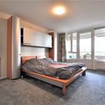 Hofdael, Geldrop - Amsterdam Apartments for Rent