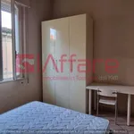 Rent 1 bedroom apartment of 20 m² in Pontedera