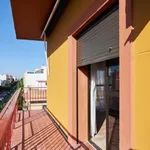 Rent 5 bedroom apartment in Seville