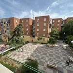 Rent 4 bedroom apartment in Madrid