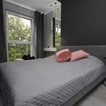 Rent 2 bedroom apartment of 36 m² in szczecin