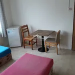 Rent 1 bedroom house in Pelhřimov