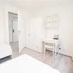 Rent 1 bedroom apartment in Brno