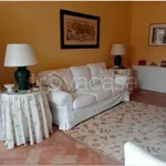 Rent 3 bedroom apartment of 85 m² in Jesi