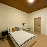 Rent a room in brussels