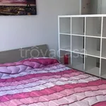 Rent 1 bedroom apartment of 35 m² in Cinisello Balsamo