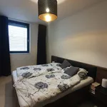 Rent 1 bedroom apartment of 57 m² in Brno