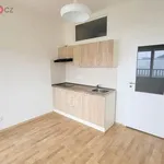 Rent 1 bedroom apartment of 22 m² in Trhový Štěpánov