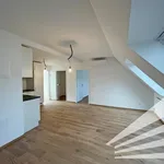 Rent 4 bedroom apartment of 80 m² in Linz