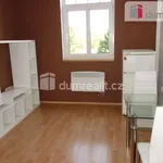 Rent 2 bedroom apartment of 48 m² in Břeclav