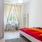 Rent a room in Torino