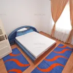 Rent 2 bedroom apartment of 55 m² in Timisoara