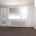 Rent 1 bedroom apartment of 28 m² in Capital City of Prague