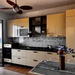 Rent 2 bedroom apartment of 45 m² in Zambrone