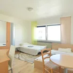 Miete 1 Schlafzimmer wohnung von 29 m² in Frankfurt