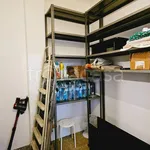 Rent 3 bedroom apartment of 80 m² in Milano