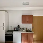 Rent 1 bedroom apartment of 20 m² in Prague