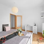 Pronajměte si 2 ložnic/e byt o rozloze 57 m² v Hradec Králové