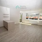 Rent 1 bedroom apartment in Chrudim