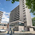 Rent 3 bedroom apartment in Eindhoven