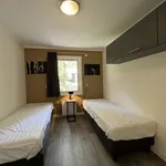 Huur 4 slaapkamer huis in Ruinen