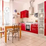 Rent 2 bedroom apartment of 50 m² in Bologna