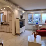 Rent 1 bedroom apartment of 62 m² in berlin