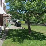 Rent 5 bedroom apartment in Tramelan