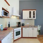 Rent 2 bedroom apartment of 40 m² in Capital City of Prague