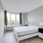 Rent 1 bedroom apartment in Brussels