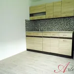 Rent 2 bedroom apartment of 29 m² in Ostrava