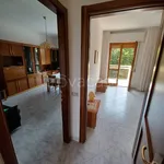 Rent 3 bedroom apartment of 90 m² in Novate Milanese