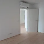 Rent 2 bedroom apartment of 44 m² in Graz