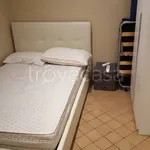 Rent 1 bedroom apartment of 33 m² in Torino