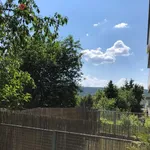 Rent 1 bedroom apartment in Brno