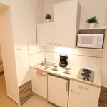 Rent 1 bedroom apartment of 30 m² in Vienna