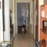 Rent 2 bedroom apartment of 65 m² in Torino